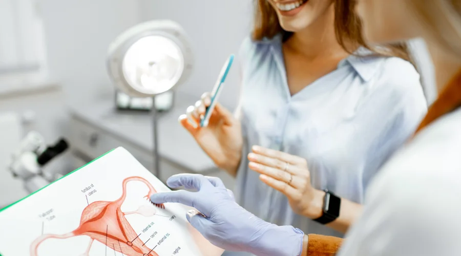 Aesthetic Labiaplasty Consultation at Estetik International Hospital