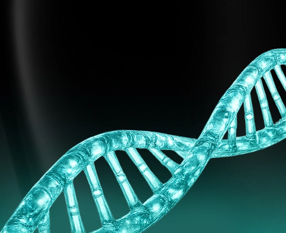 Genetics